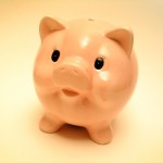 Pink Piggy Bank